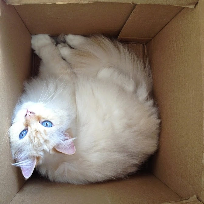 Tricky in a box