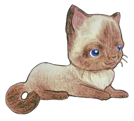 Colorpoint Ragdoll