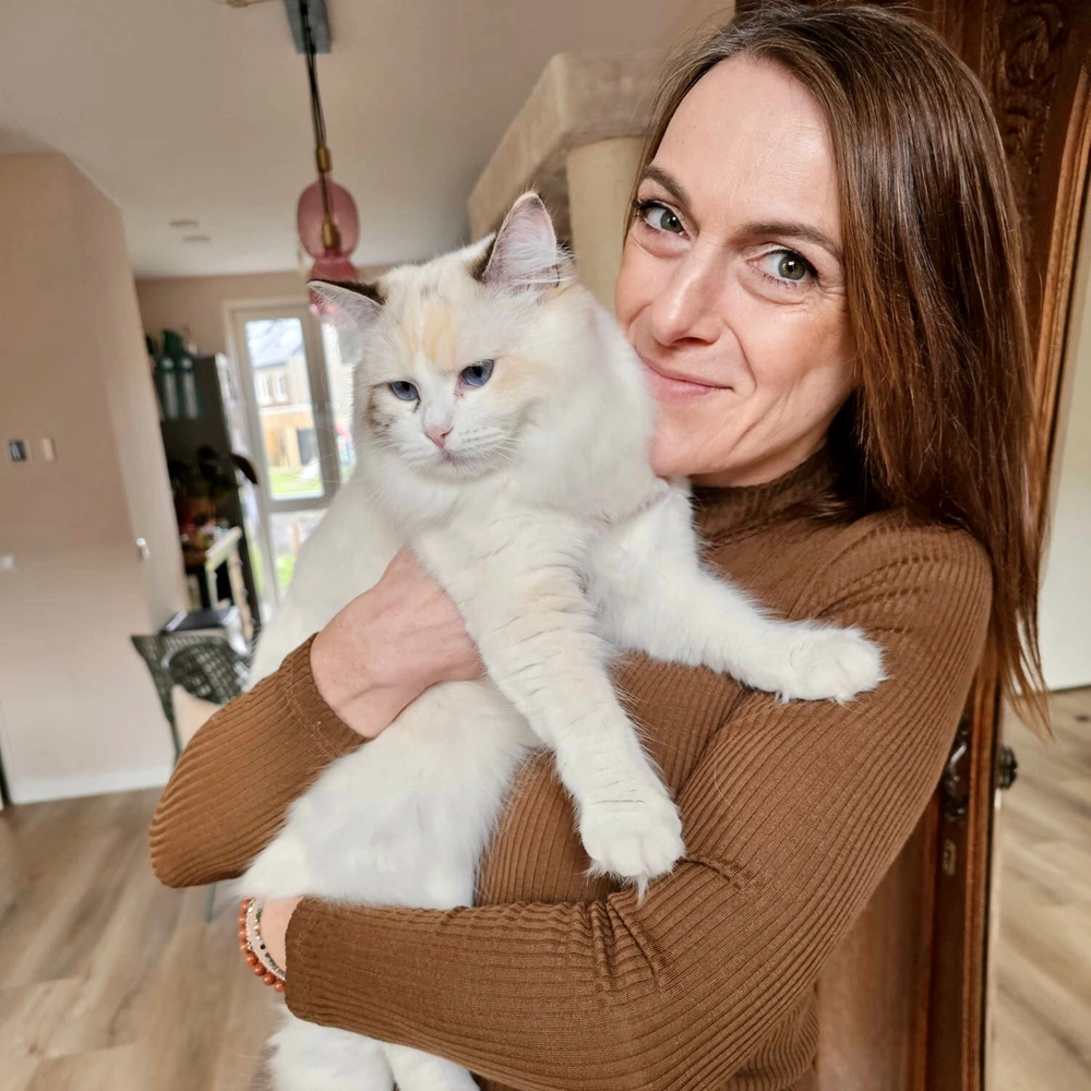 Meer over Mascha Ragdoll